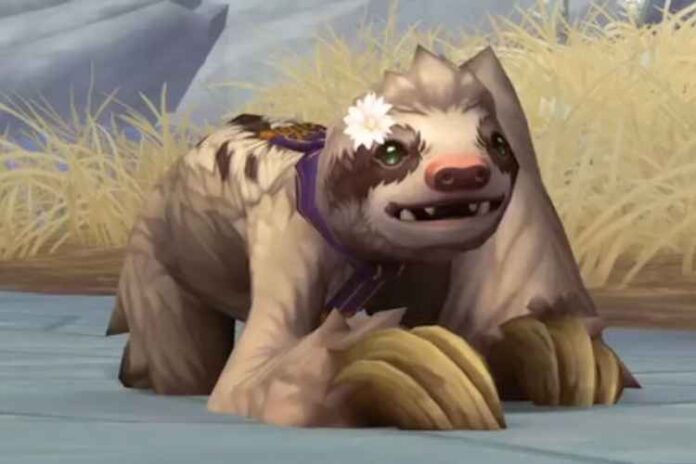 Know How You Can Get Daisy On Your Back In Wow