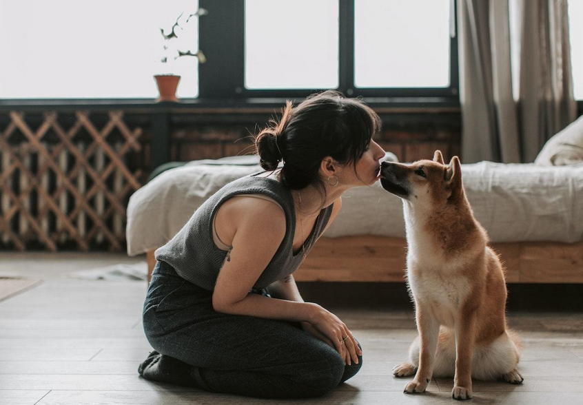 Additional Tips for Dealing with Smelly Dogs