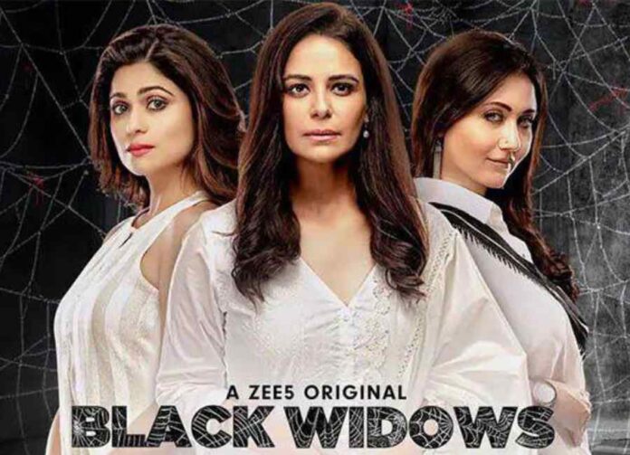 Black Widows Web Series Review