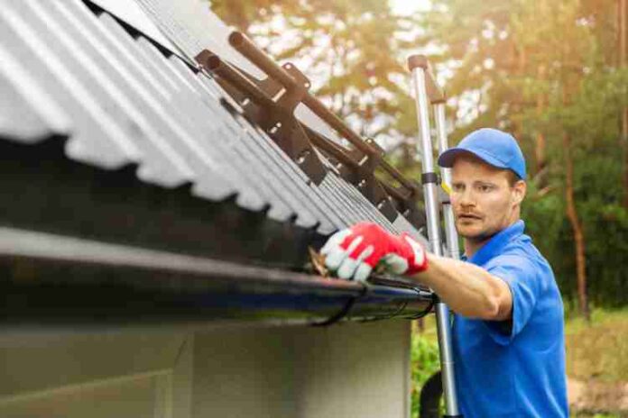 Gutter Health 101 Why Gutter Cleaning Services Should be a Priority