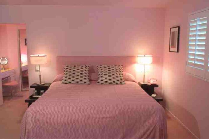 The Art of Showcasing Homes in the Harbour City