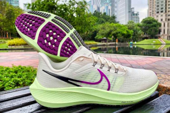 Nike Air Zoom Pegasus 39 Review