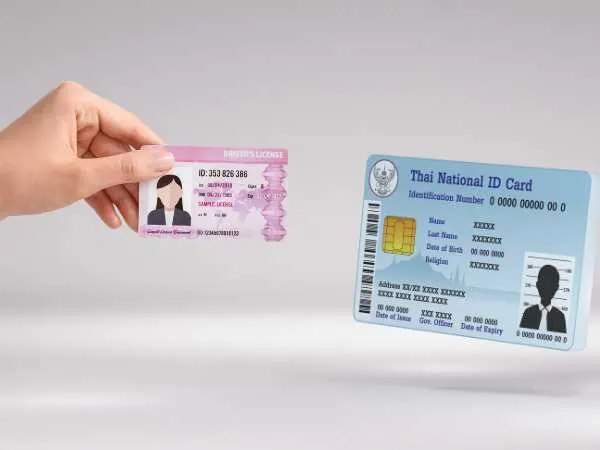 Bogus Braxtor Review