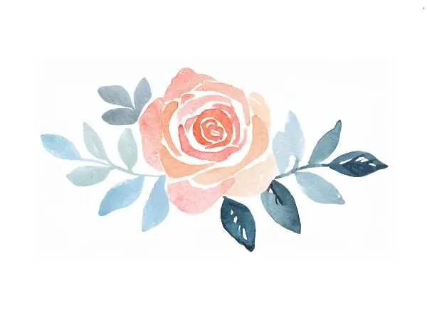 How Do You Draw a Rose